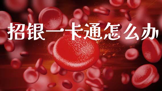 招银一卡通怎么办_https://m.qdlswl.com_恒生指数直播喊单_第1张