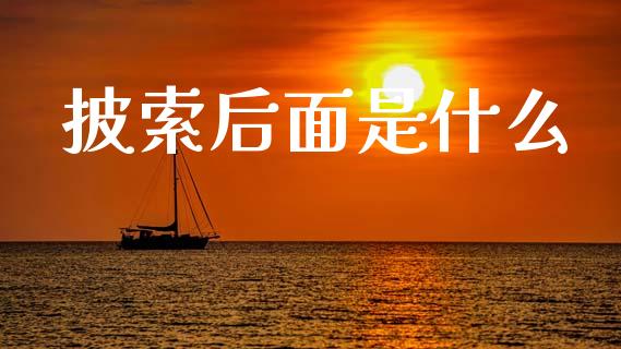 披索后面是什么_https://m.qdlswl.com_恒指在线直播间_第1张