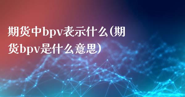 期货中bpv表示什么(期货bpv是什么意思)_https://m.qdlswl.com_恒指在线直播间_第1张