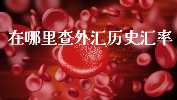 在哪里查外汇历史汇率_https://m.qdlswl.com_恒生指数直播喊单_第1张