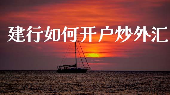 建行如何开户炒外汇_https://m.qdlswl.com_恒指在线直播间_第1张