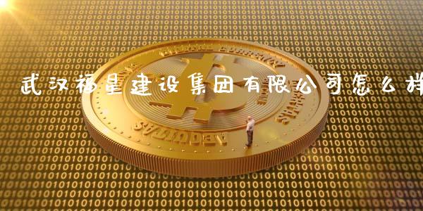 武汉福星建设集团有限公司怎么样_https://m.qdlswl.com_恒指在线直播间_第1张