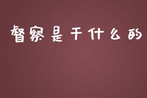 督察是干什么的_https://m.qdlswl.com_恒生指数直播喊单_第1张