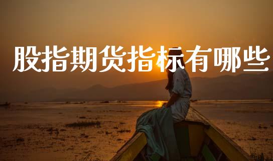 股指期货指标有哪些_https://m.qdlswl.com_恒指德指直播室_第1张
