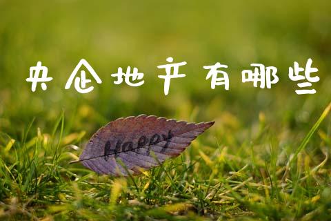 央企地产有哪些_https://m.qdlswl.com_恒生指数直播喊单_第1张