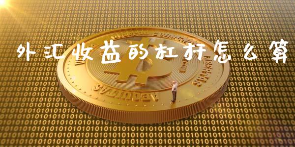 外汇收益的杠杆怎么算_https://m.qdlswl.com_恒指在线直播间_第1张