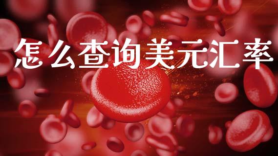 怎么查询美元汇率_https://m.qdlswl.com_恒指在线直播间_第1张