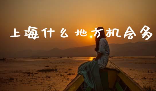 上海什么地方机会多_https://m.qdlswl.com_恒指在线直播间_第1张