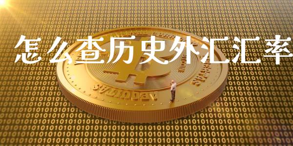 怎么查历史外汇汇率_https://m.qdlswl.com_纳指直播_第1张