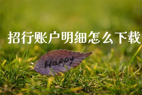 招行账户明细怎么下载_https://m.qdlswl.com_纳指直播_第1张
