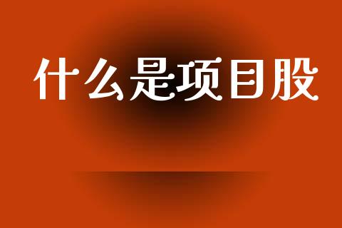 什么是项目股_https://m.qdlswl.com_恒指在线直播间_第1张