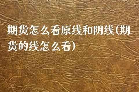 期货怎么看原线和阴线(期货的线怎么看)_https://m.qdlswl.com_恒指在线直播间_第1张