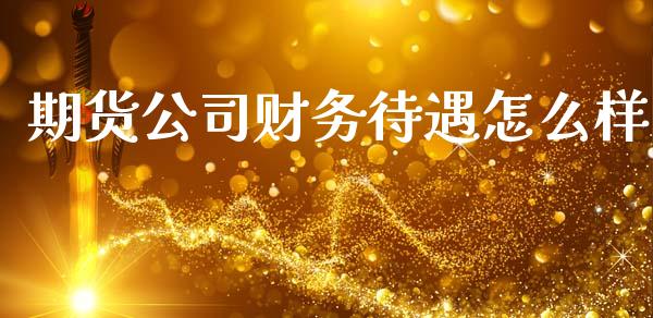 期货公司财务待遇怎么样_https://m.qdlswl.com_恒指在线直播间_第1张