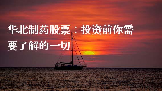 华北制药股票：投资前你需要了解的一切_https://m.qdlswl.com_恒生指数直播喊单_第1张