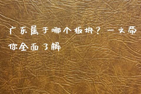 广东属于哪个板块？一文带你全面了解_https://m.qdlswl.com_纳指直播_第1张