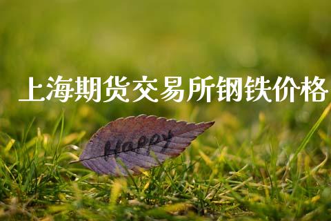 上海期货交易所钢铁价格_https://m.qdlswl.com_恒生指数直播喊单_第1张