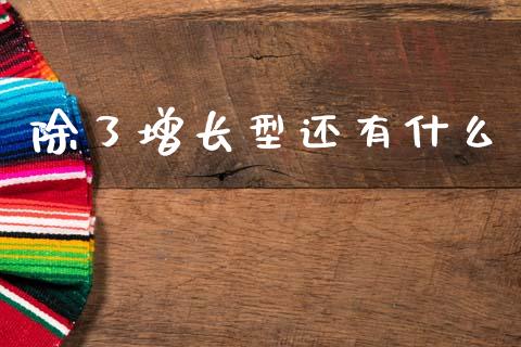 除了增长型还有什么_https://m.qdlswl.com_恒指在线直播间_第1张