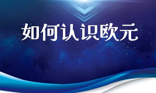 如何认识欧元_https://m.qdlswl.com_纳指直播_第1张
