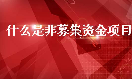 什么是非募集资金项目_https://m.qdlswl.com_恒指在线直播间_第1张