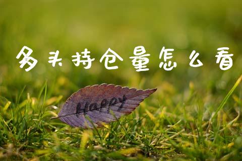 多头持仓量怎么看_https://m.qdlswl.com_恒指德指直播室_第1张