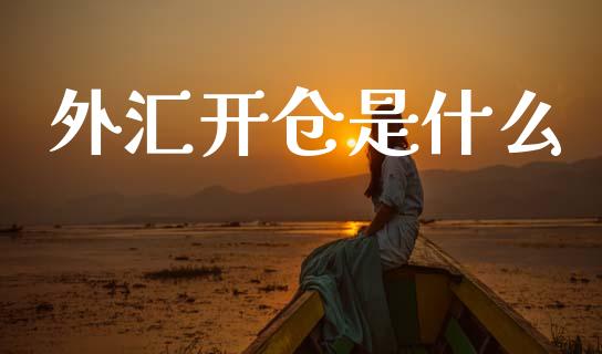 外汇开仓是什么_https://m.qdlswl.com_恒生指数直播喊单_第1张