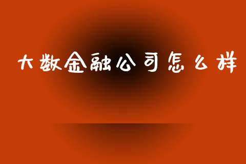 大数金融公司怎么样_https://m.qdlswl.com_纳指直播_第1张