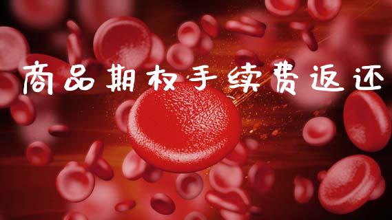 商品期权手续费返还_https://m.qdlswl.com_恒指在线直播间_第1张