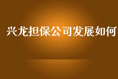 兴龙担保公司发展如何_https://m.qdlswl.com_恒指德指直播室_第1张
