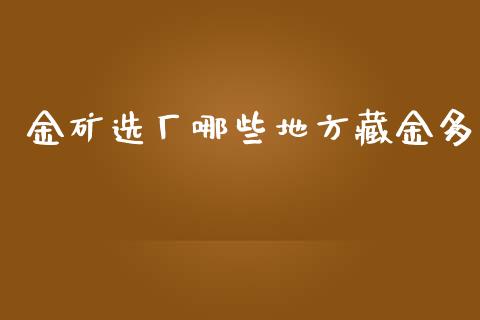 金矿选厂哪些地方藏金多_https://m.qdlswl.com_恒指在线直播间_第1张