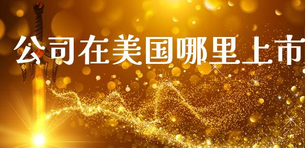 公司在美国哪里上市_https://m.qdlswl.com_恒指在线直播间_第1张