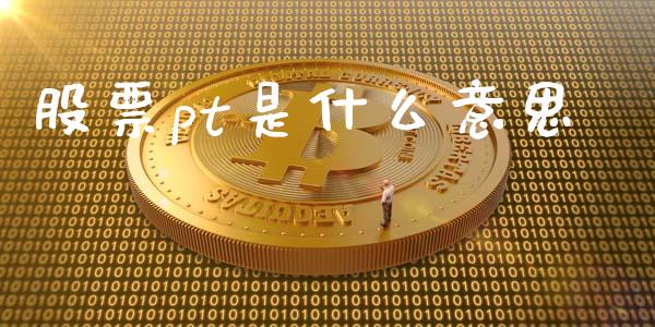 股票pt是什么意思_https://m.qdlswl.com_恒指在线直播间_第1张