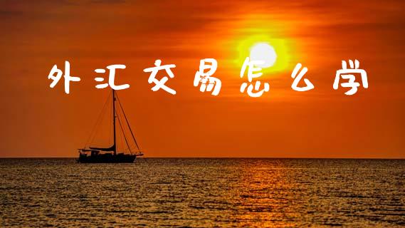外汇交易怎么学_https://m.qdlswl.com_恒指德指直播室_第1张