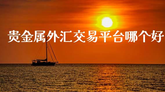 贵金属外汇交易平台哪个好_https://m.qdlswl.com_恒生指数直播喊单_第1张