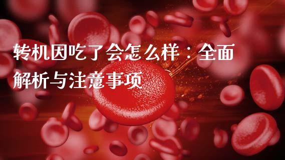 转机因吃了会怎么样：全面解析与注意事项_https://m.qdlswl.com_恒指在线直播间_第1张