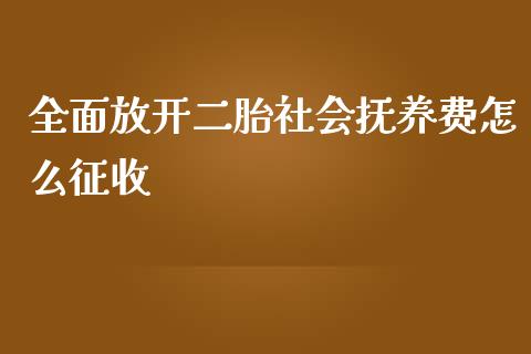 全面放开二胎社会抚养费怎么征收_https://m.qdlswl.com_恒指在线直播间_第1张