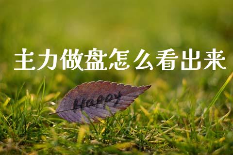 主力做盘怎么看出来_https://m.qdlswl.com_恒指德指直播室_第1张