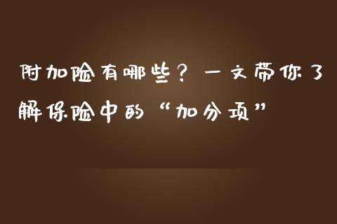 附加险有哪些？一文带你了解保险中的“加分项”_https://m.qdlswl.com_恒生指数直播喊单_第1张