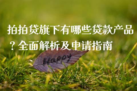 拍拍贷旗下有哪些贷款产品？全面解析及申请指南_https://m.qdlswl.com_恒生指数直播喊单_第1张