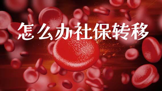 怎么办社保转移_https://m.qdlswl.com_恒指德指直播室_第1张