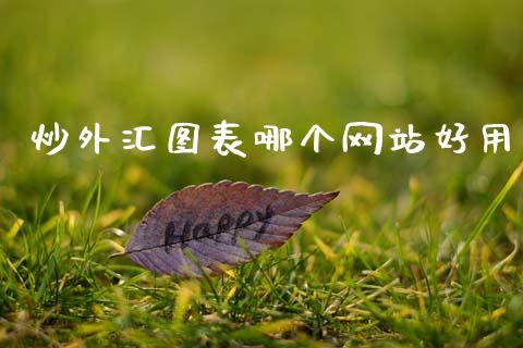 炒外汇图表哪个网站好用_https://m.qdlswl.com_恒指德指直播室_第1张