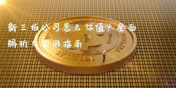 新三板公司怎么估值？全面解析与实用指南_https://m.qdlswl.com_恒指在线直播间_第1张