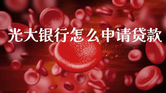光大银行怎么申请贷款_https://m.qdlswl.com_纳指直播_第1张