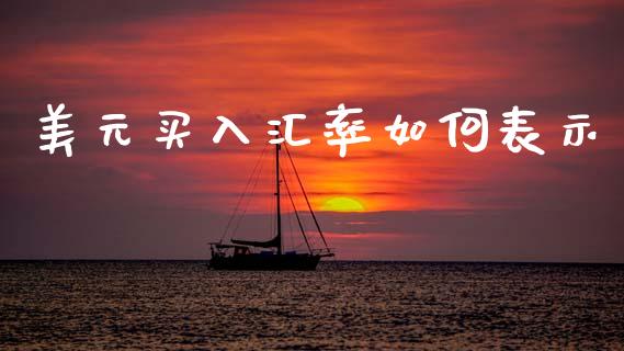 美元买入汇率如何表示_https://m.qdlswl.com_恒生指数直播喊单_第1张