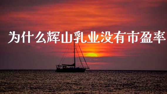 为什么辉山乳业没有市盈率_https://m.qdlswl.com_恒生指数直播喊单_第1张