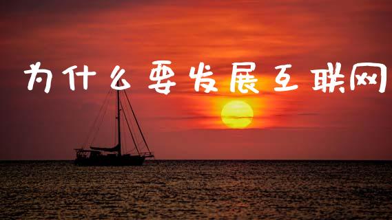 为什么要发展互联网_https://m.qdlswl.com_恒指德指直播室_第1张