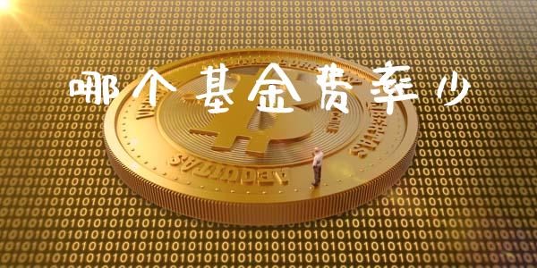 哪个基金费率少_https://m.qdlswl.com_恒指在线直播间_第1张