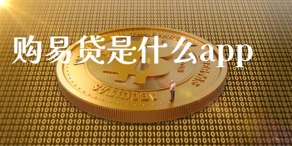 购易贷是什么app_https://m.qdlswl.com_恒生指数直播喊单_第1张