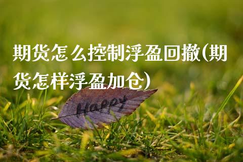 期货怎么控制浮盈回撤(期货怎样浮盈加仓)_https://m.qdlswl.com_纳指直播_第1张