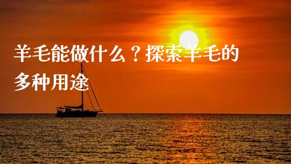 羊毛能做什么？探索羊毛的多种用途_https://m.qdlswl.com_纳指直播_第1张