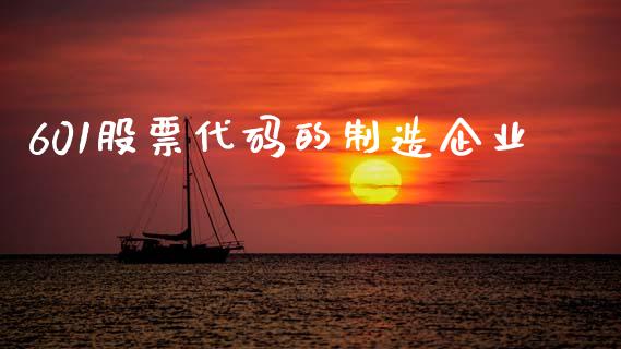 601股票代码的制造企业_https://m.qdlswl.com_恒指德指直播室_第1张